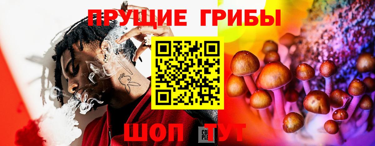 Галлюциногенные грибы GOLDEN TEACHER Тихорецк